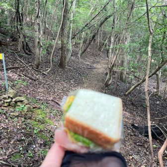 もぐもぐタイムはサンドイッチ🥪