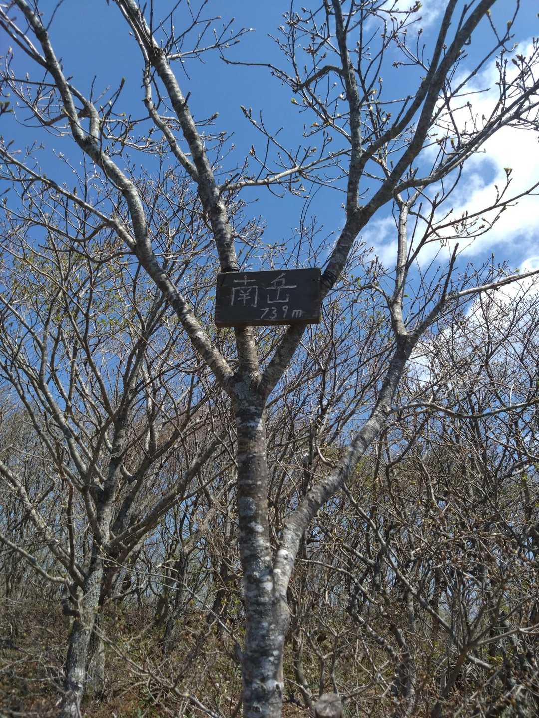 大びらき-階上岳-南岳 往復コースの写真