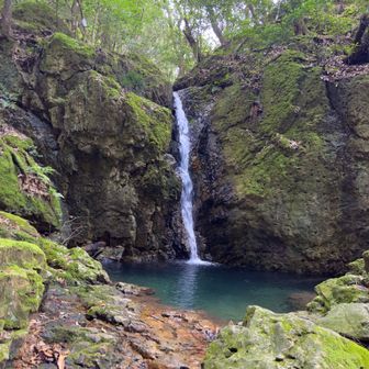 白滝です。　
　滝壺の水は透き通ってエメラルド色