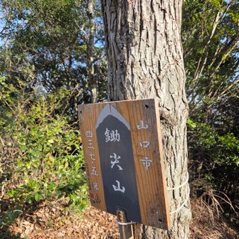 急登を登って、④鋤尖山