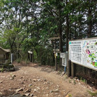 復路の吾妻山