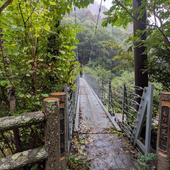 川を渡る箇所が多いコースでした