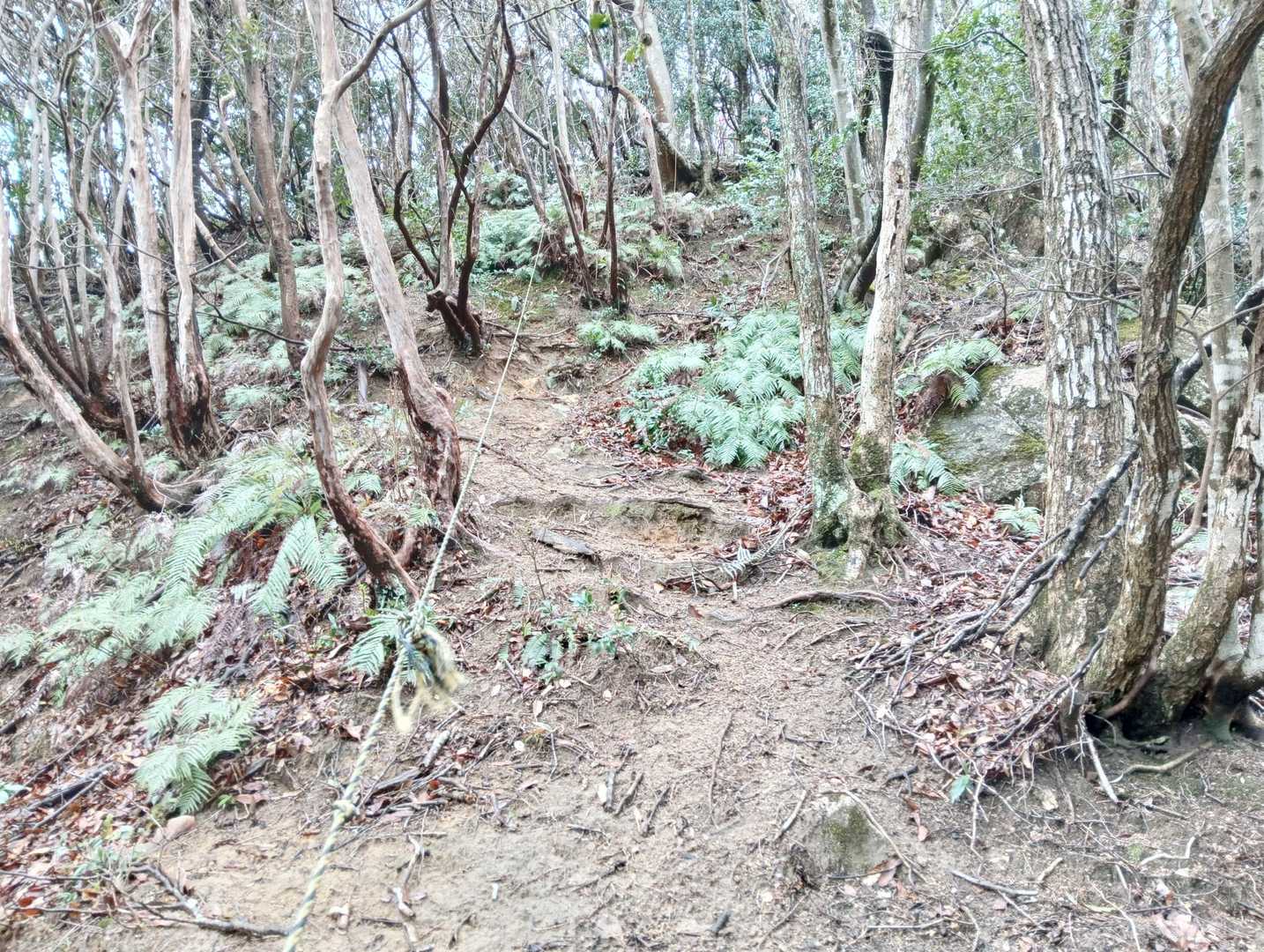 急登のロープ場を🪢😣🚶