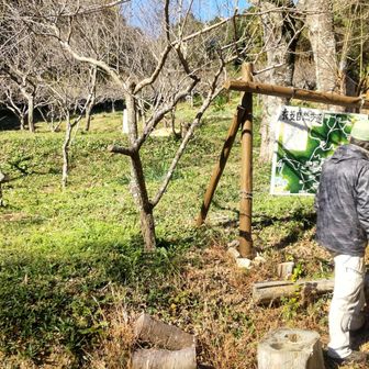 後ろ姿を許可下さり
ありがとうございます😊
ワンコルートの出来た経緯や、
田原市のお花の情報
嬉しくて色々お話聞けて
またリベンジしたいと改めて～
次は花探しとまだ見ぬ知らぬ
登山道を楽しく歩くこと♪