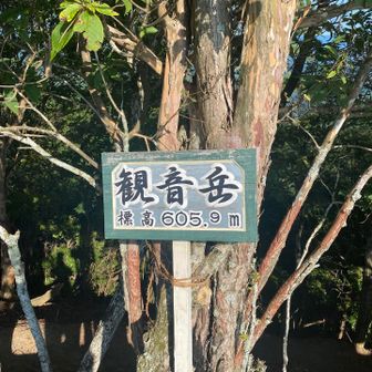 あっという間に観音岳🥾
