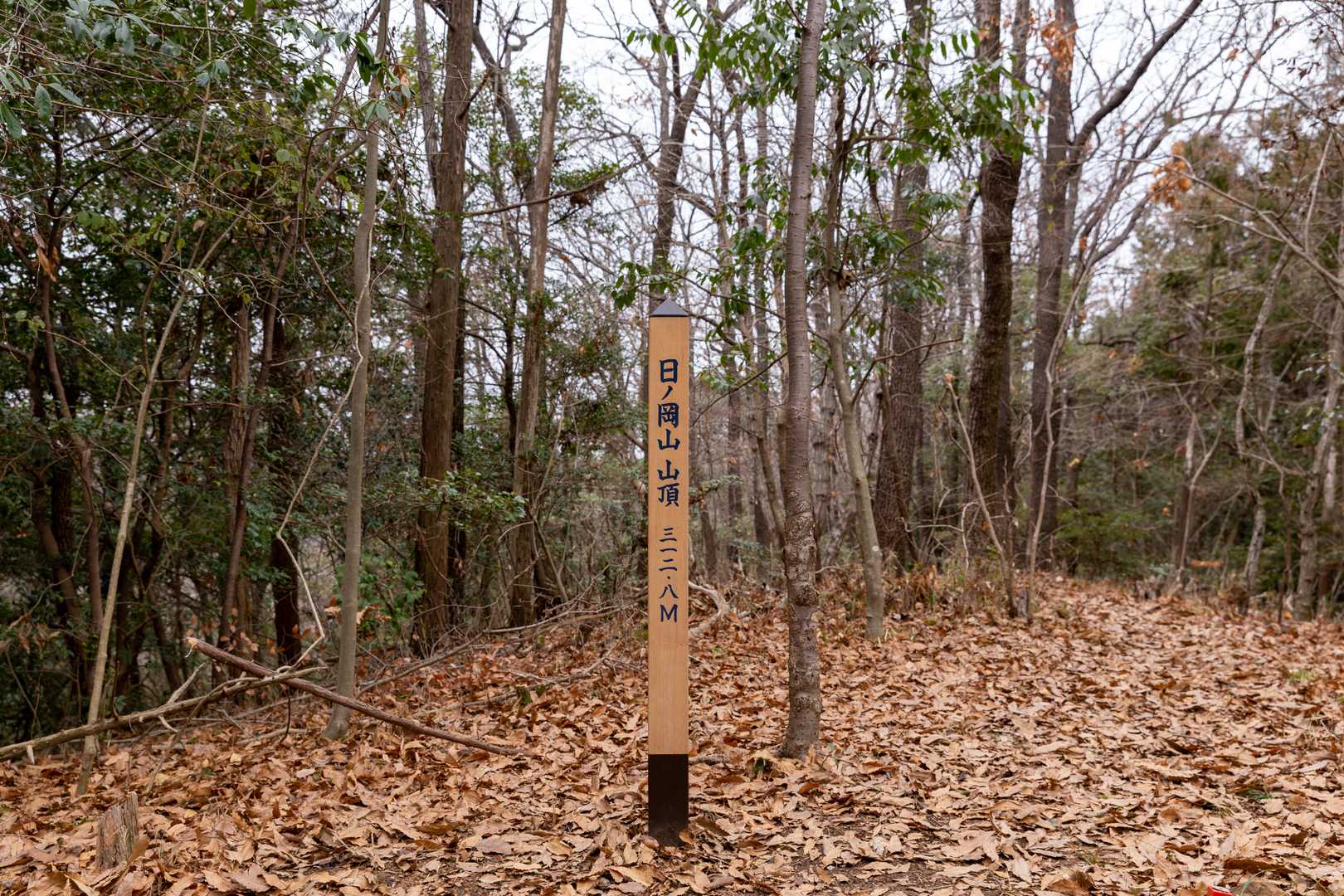 蒲生山から26分日岡山到着、途中傾斜30度くらいの木段を下ってきたので、戻りの木段登りが辛そう・・・😅