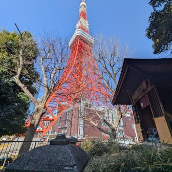 紅葉山山頂は新旧共存しとります🤗
