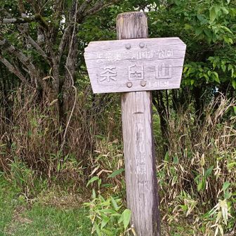 茶臼山頂上（標高1,417m）
わずか30分で愛知県最高峰をゲット😄