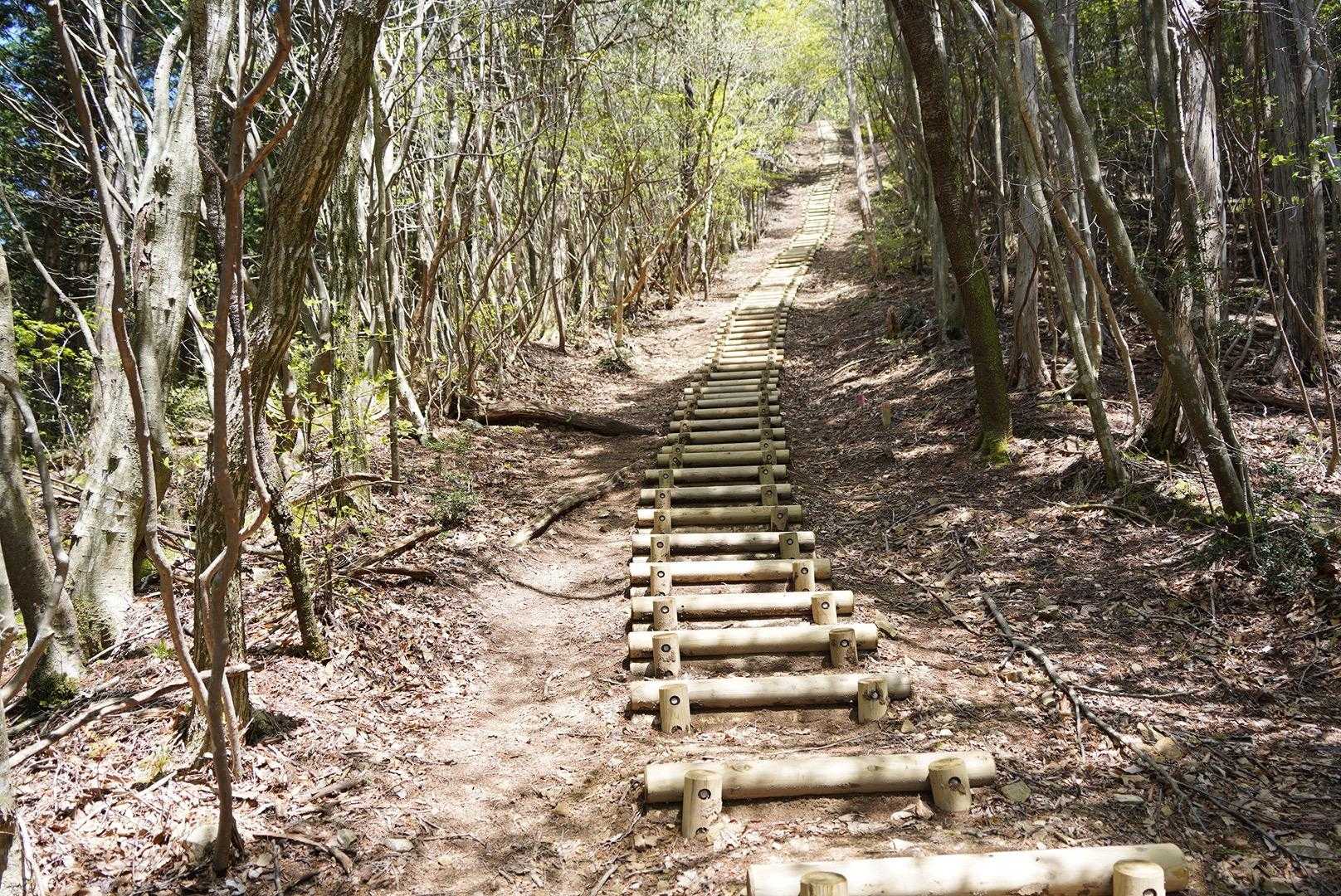 えっさほっさと登って、讃岐竜王山の下に階段地獄〜