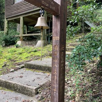 クマベル🔔今年は目撃情報なし