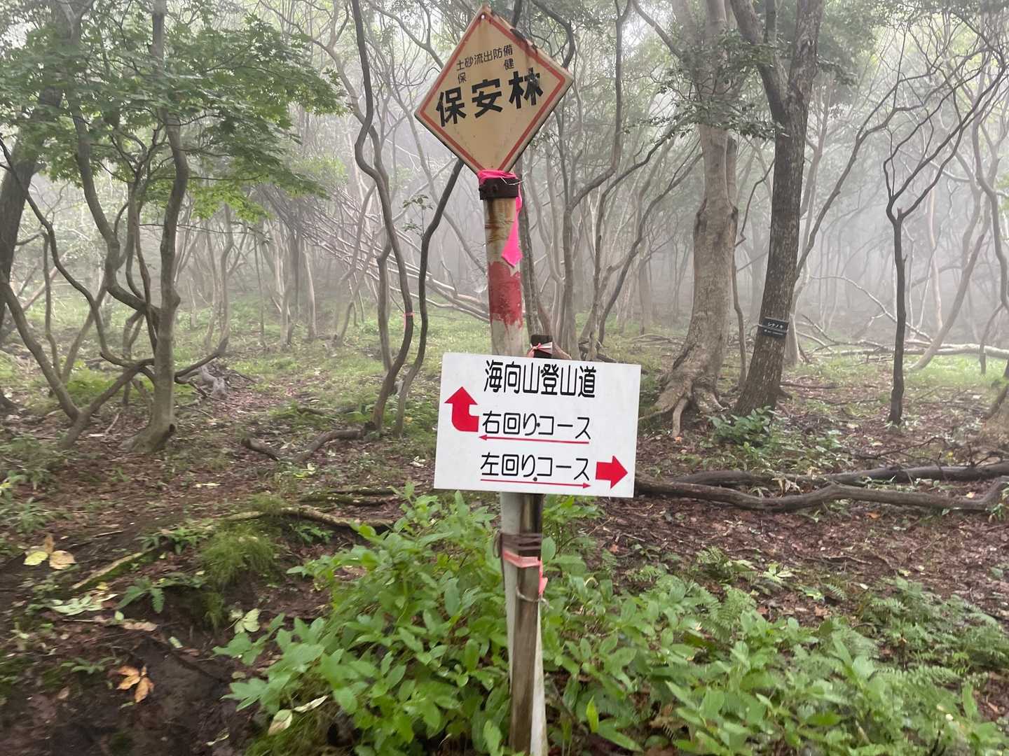 権現堂入口-海向山登山道入口-海向山 往復コースの写真
