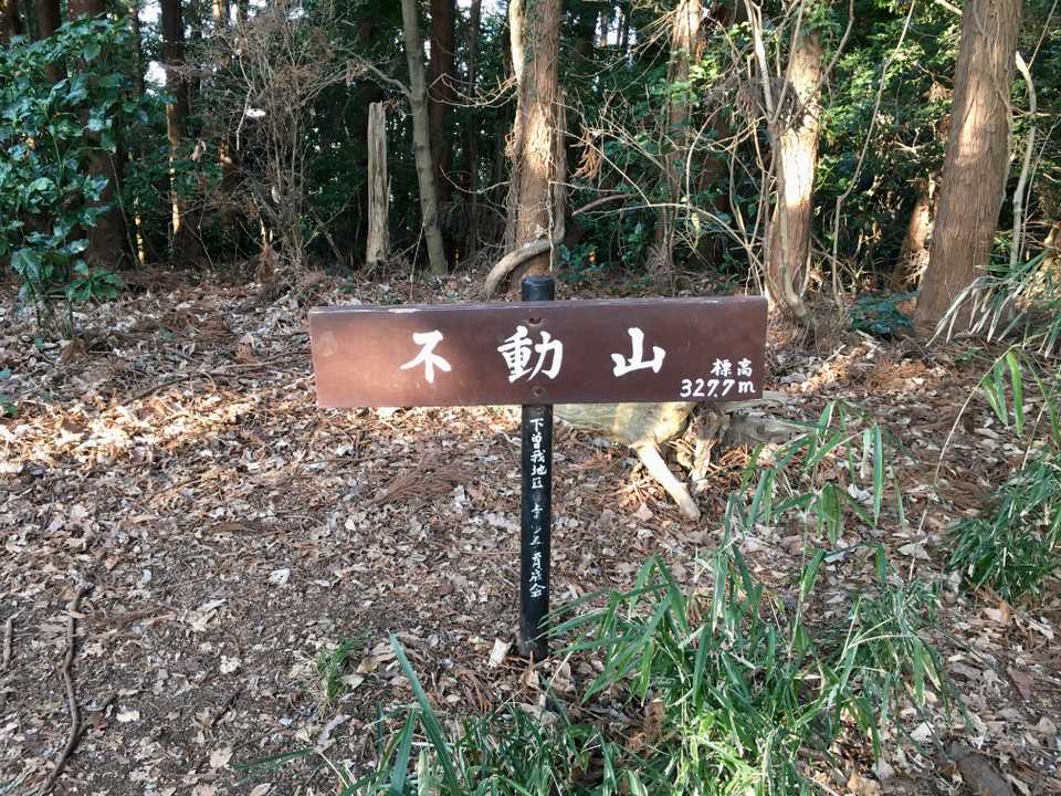 何もない山頂だけど、今日唯一山歩きの雰囲気があった場所です😅