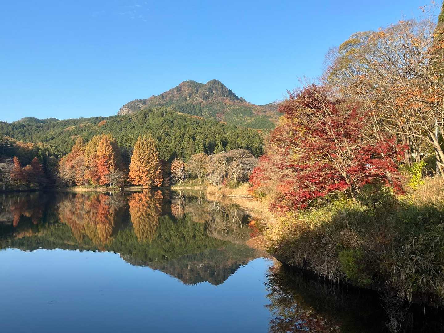 朝イチ、
いきなり本日のベストショット❗️
