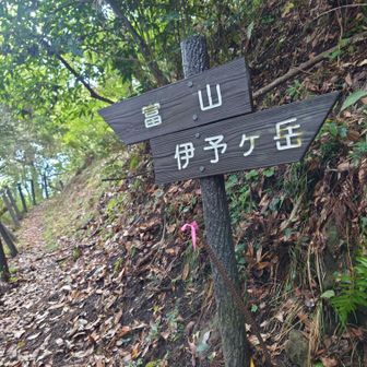 富山へ