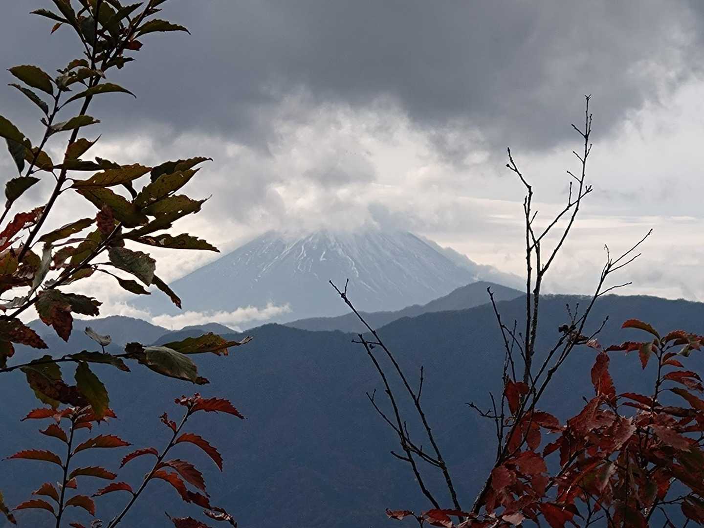 拡大しました。