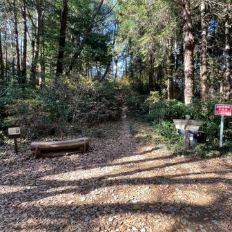 分岐まで戻り、次の山へ