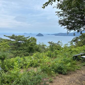 海が見える山はいいな
