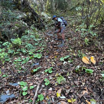 そして
超～激下りと😆😆