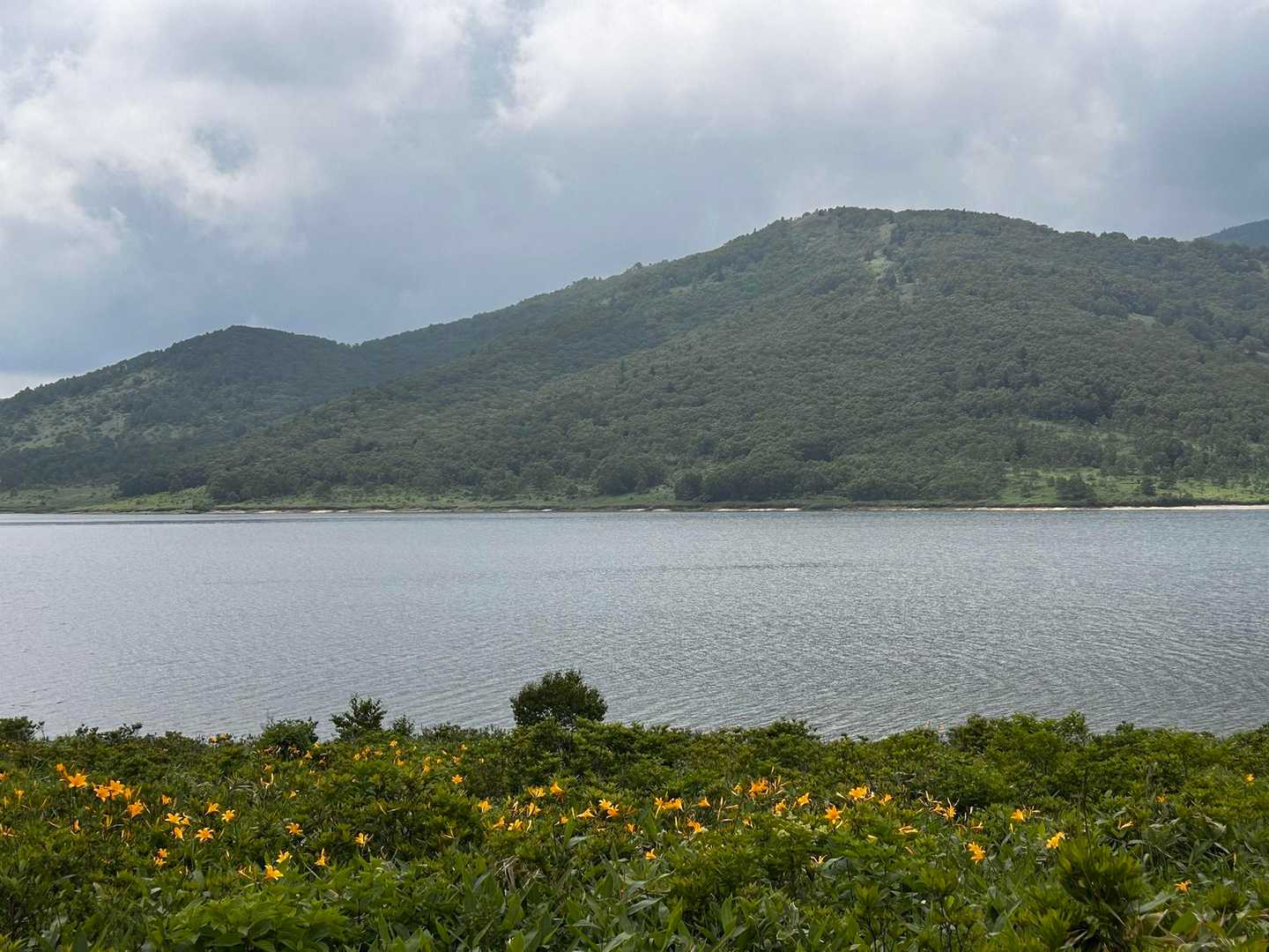 八間山登山口-八間山登山口-白砂山登山口-野反ダム-野反湖 周回コースの写真