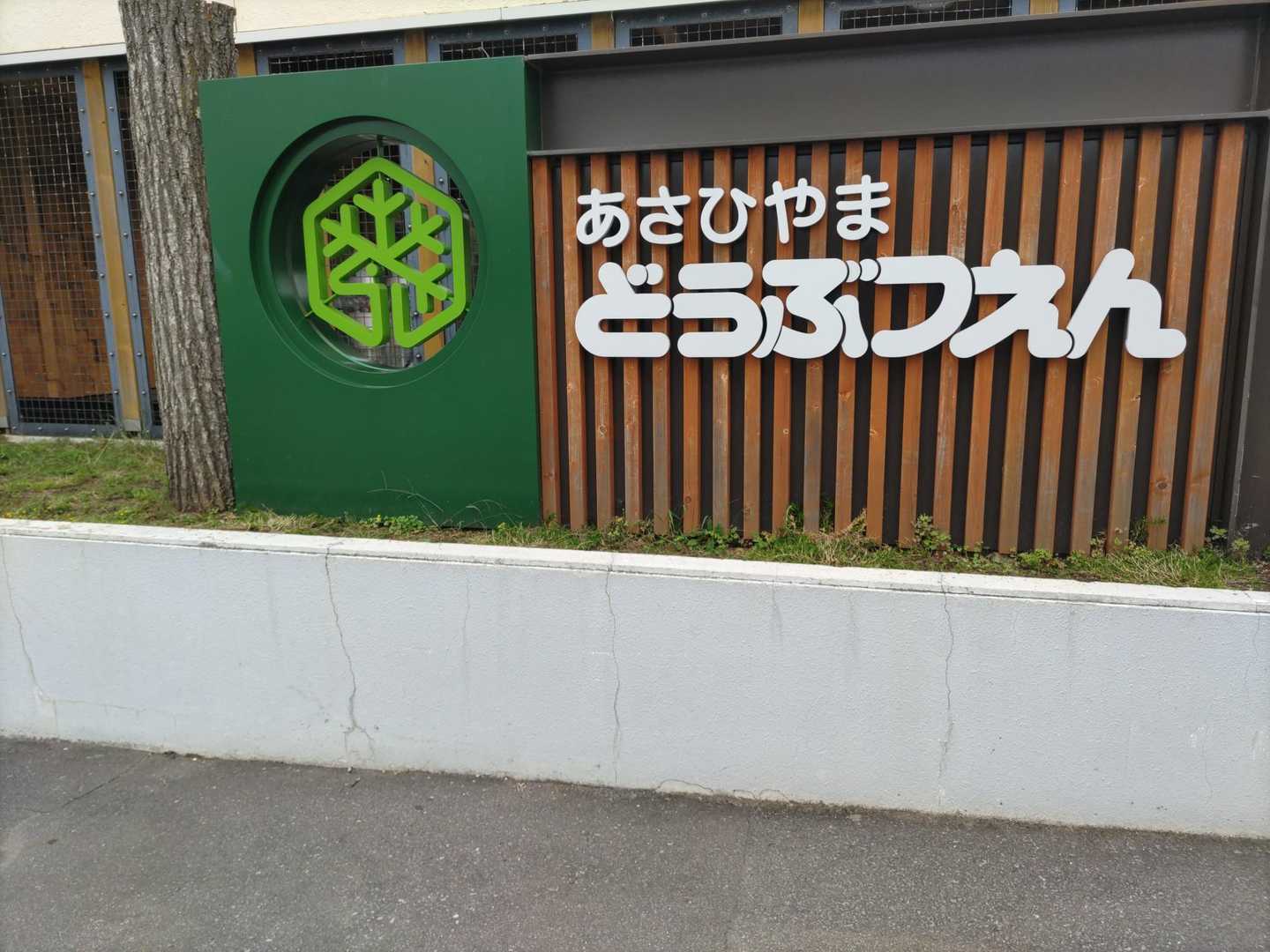 旭山 往復コースの写真
