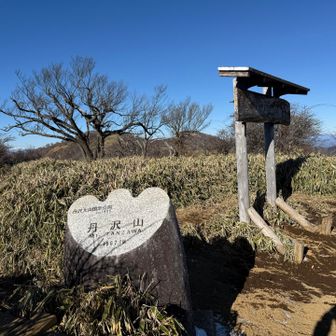 ここから、蛭ヶ岳は、往復6キロかー
やめとこー