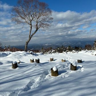 おー、展望広場だ😊