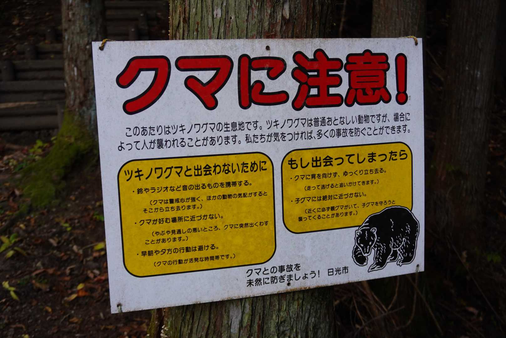 熊の目撃情報もあるため注意が必要 🐻