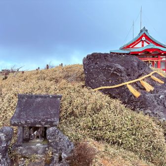 干支と同じ馬光石🪨