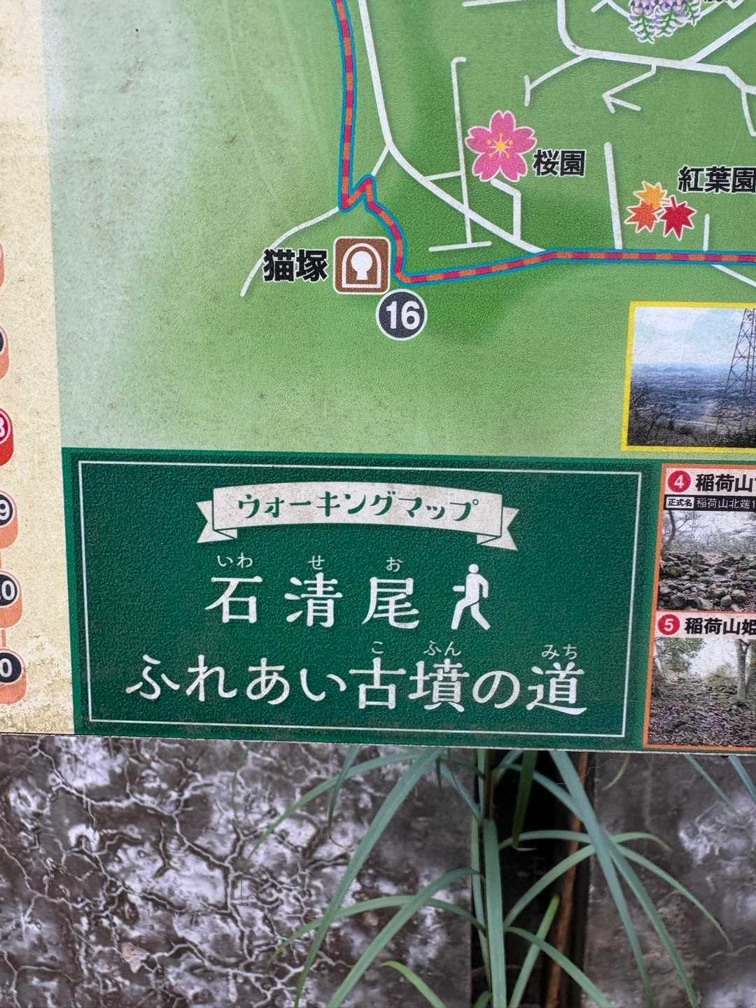 「いわせお」と読むのね！