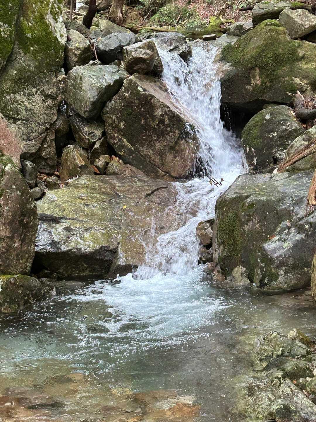 高賀山登山口-御坂峠-高賀山 周回コースの写真