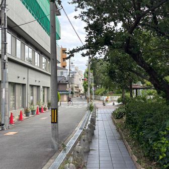 諦めて古墳の東側の道を北上し、鶴橋へと向かいました。
この街区だけ道路が曲がっており、また南北ではなく南東から北西へと連なっていました。