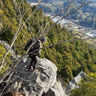 果敢に攻めるもりあさん✨
カッケー👍