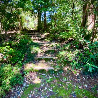安居山の山頂にはたいてい誰もいない