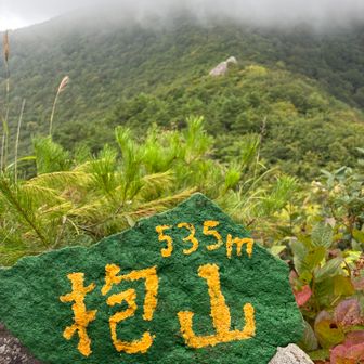 抱山はパスしない^_^