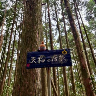 天狗の座敷まで来ました
▶︎▷風が強くなってきましたよ(*´罒`*)