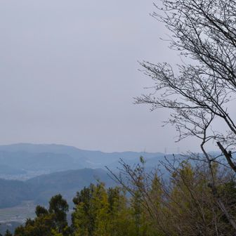 今日は(も)白く霞んでて、瀬戸大橋は見えなかった。