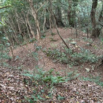 ここらから降って登って、ずーっと行くと金山です！