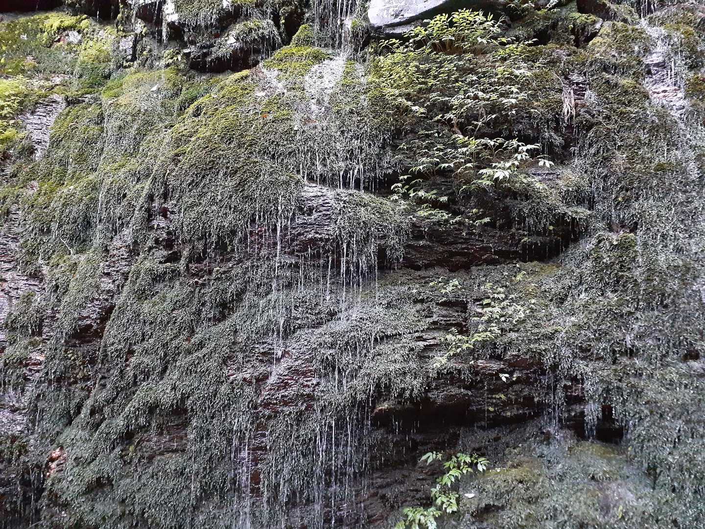綺麗