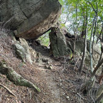 この間が登山道