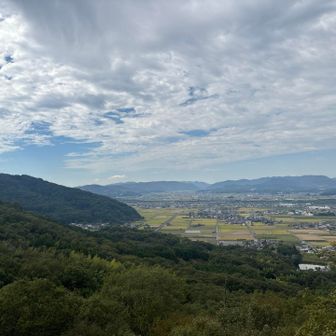 田園がいいです