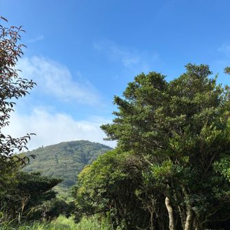 振り返ってツームシ山
