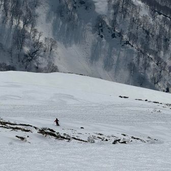 颯爽と滑るBCスキーヤー⛷️羨ましい