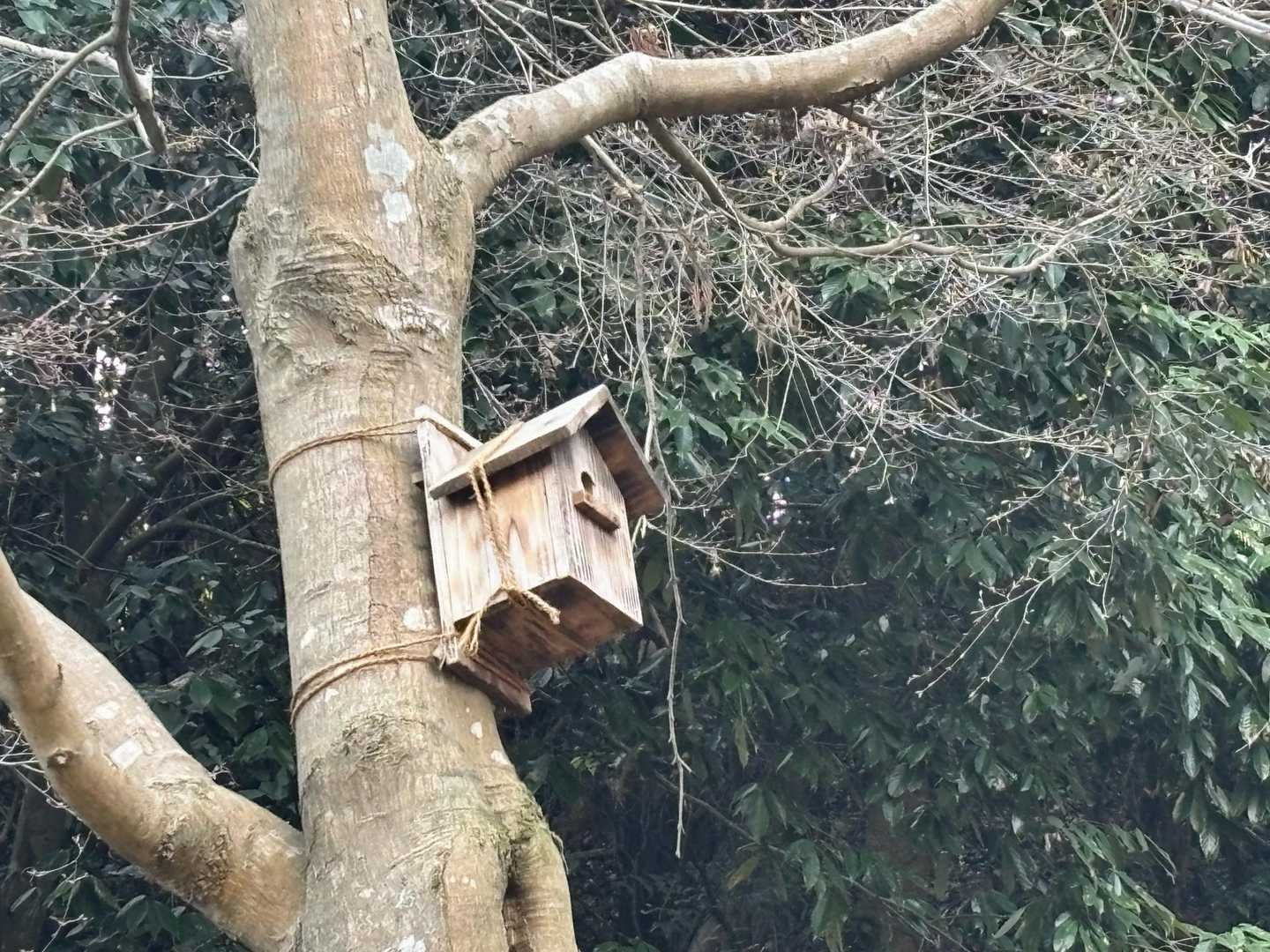 ヒヨドリ、エナガ、シジュウカラ、ヤマゲラetc...
たくさんの野鳥さんに出会えるそう🐦

よく調べたら、野鳥さん用ではなく
ムササビさん用みたいです🤣
ムササビネスト•プロジェクト大作戦
ねぐらを作ったみたいです