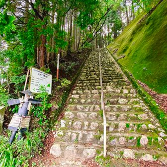 いきなりの急階段
朝イチだからか平気👍
と言いながらすぐ汗だくになったけど涼しいから気持ちいい✨