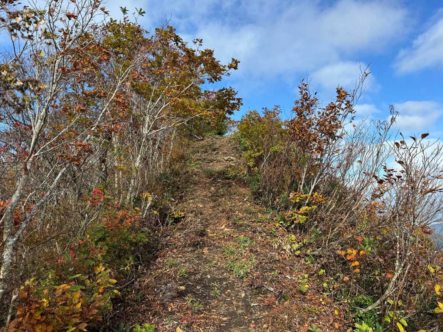 甑林道登山口-名勝沼-女甑山-男甑山 周回コースの写真