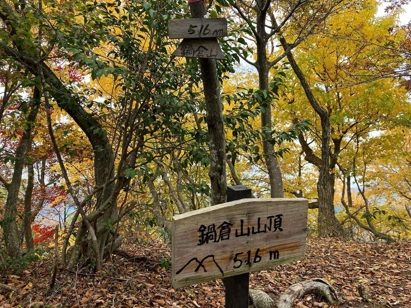 鍋倉山 山頂
写真だけ撮って通過
ここから一旦下ります
逆回りすると登頂感あるのかな
