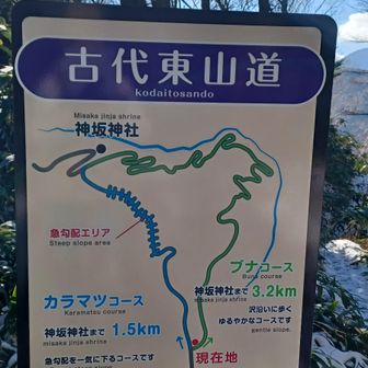 帰りはカラマツコースで。