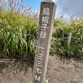 山頂には赤とんぼが飛んでいましたよ☺️