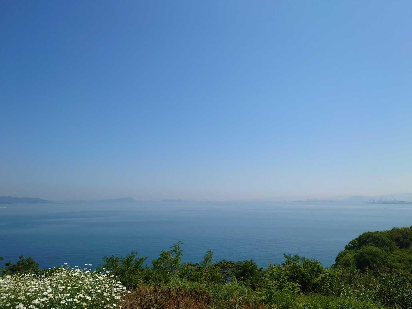 天空の花畑-横尾の辻 周回コースの写真