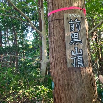 最初のピークget